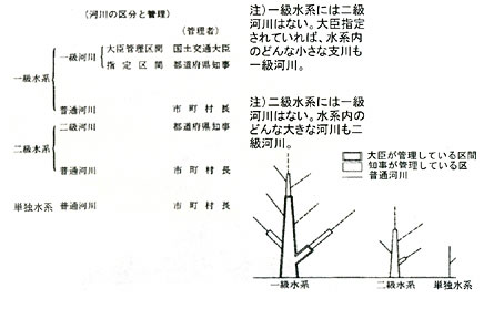 違い 氾濫 えっす いと の