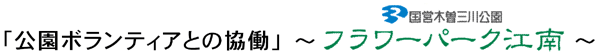 u{eBAƂ̋v`cؑ]Ot[p[N]`