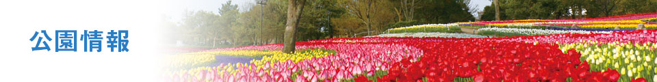 公園情報