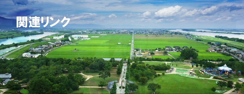 関連リンクタイトル