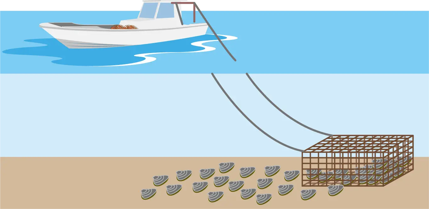 シジミ漁イメージイラスト