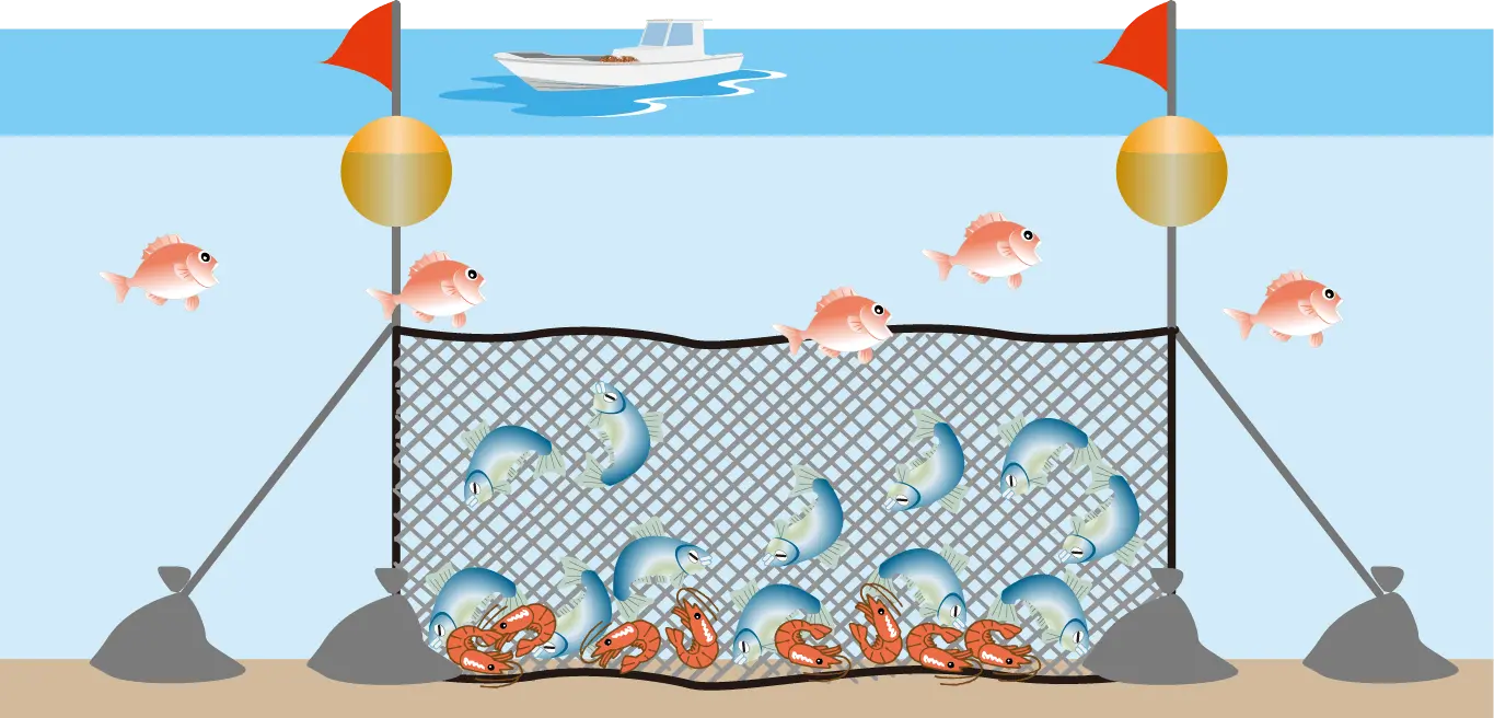 刺し網漁イメージイラスト