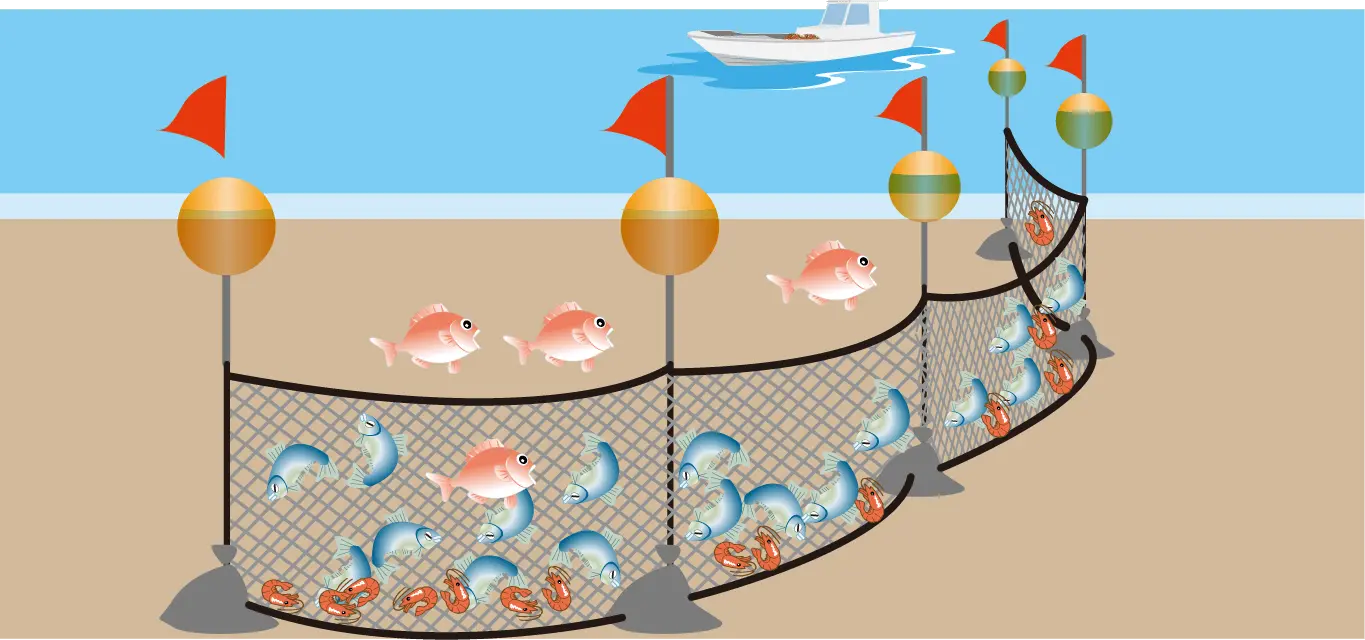 流し網漁イメージイラスト