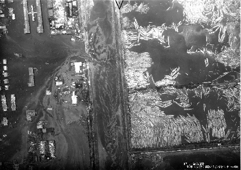 名古屋市南区山崎川河口近くを上空から望む