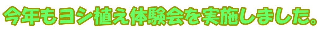 NVǍ{܂B