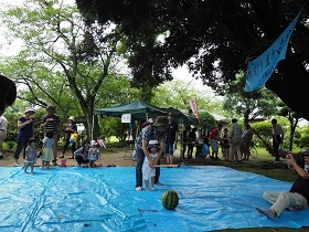 NPO@lؑ]앶