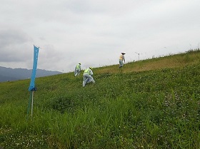 ()勴g