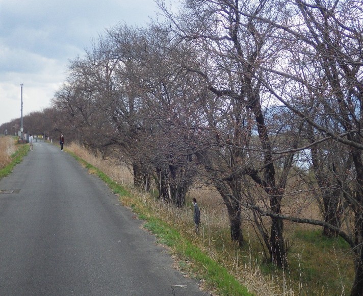 �_��Y�Ɗ������