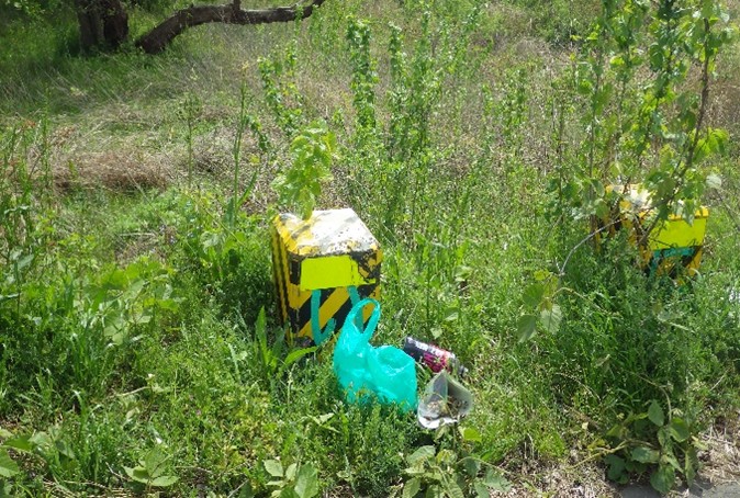 �_��Y�Ɗ������