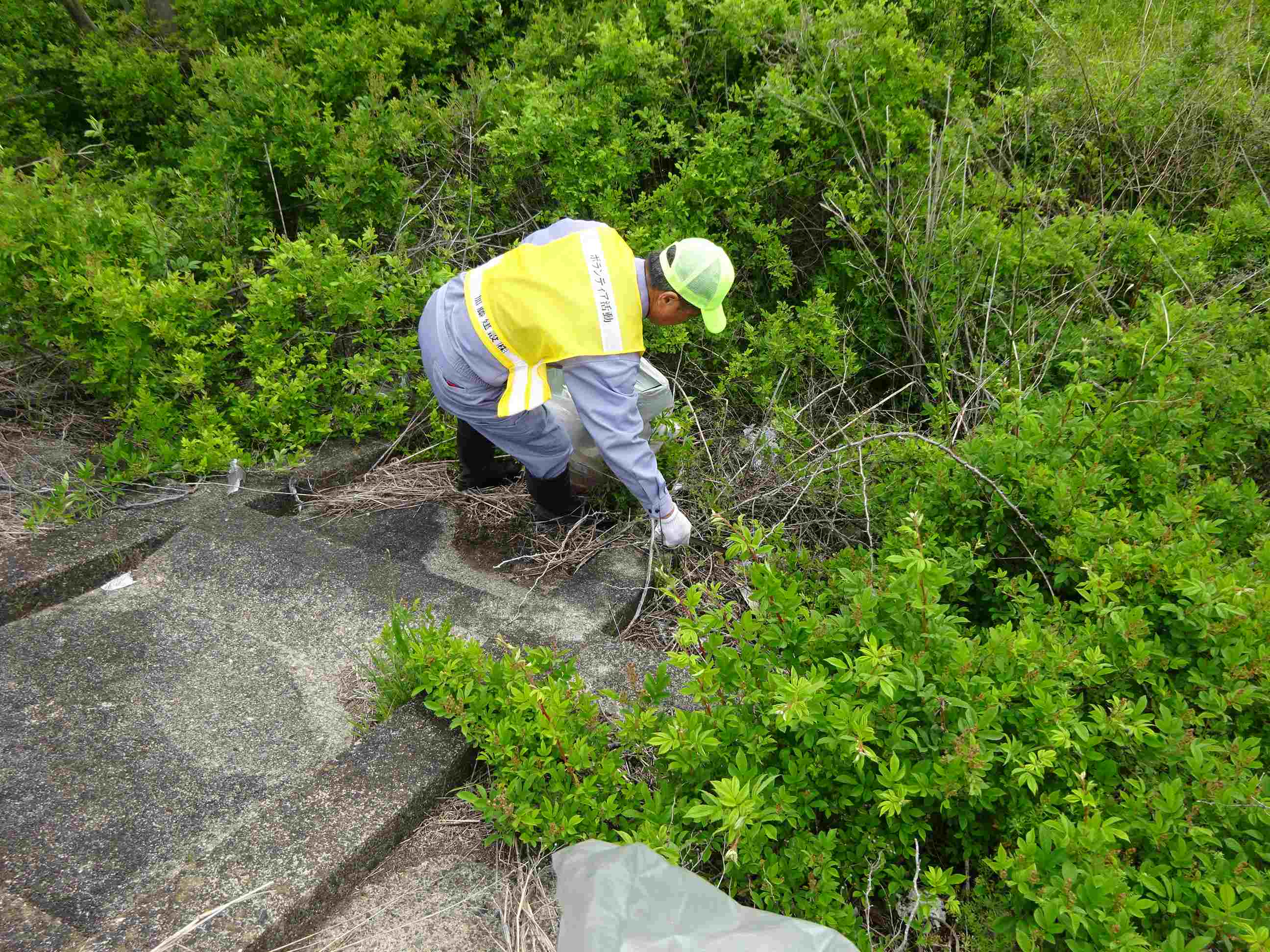 ��������(��)