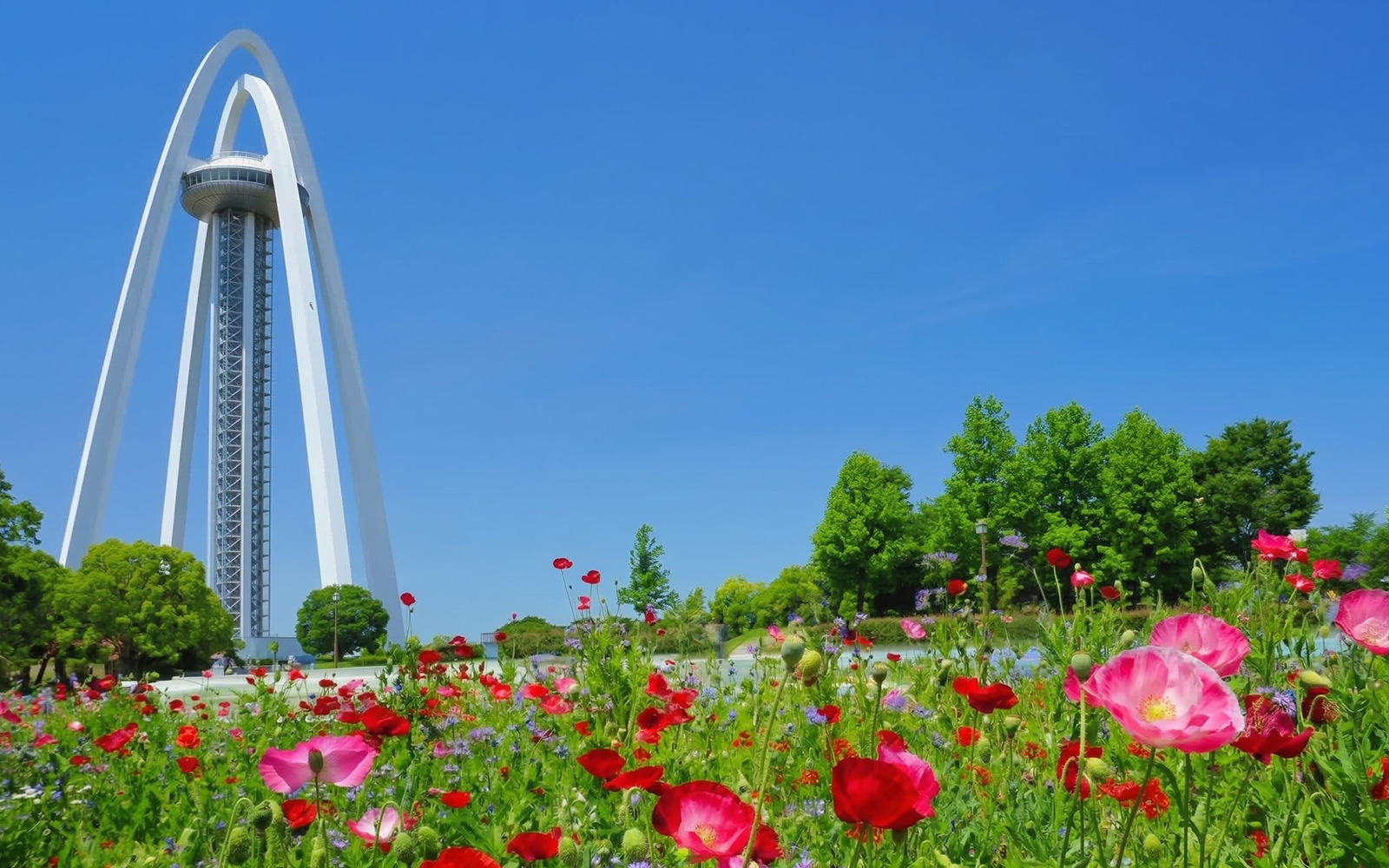 展望施設と花畑