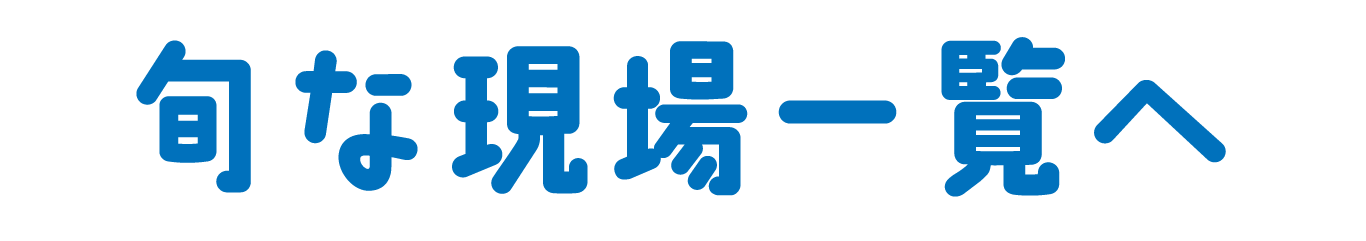 旬な現場一覧へ