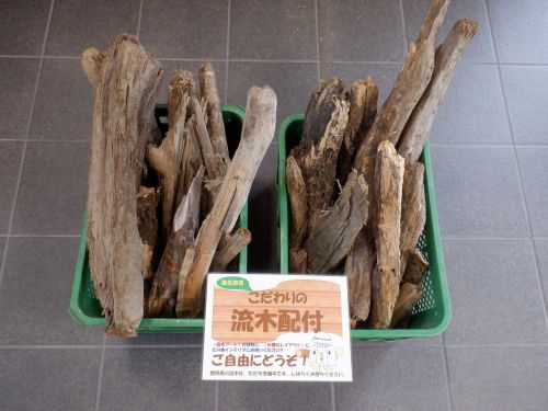 流木