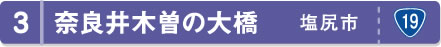 奈良井木曽の大橋