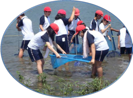 津市立　桃園小学校