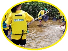 イオン鈴鹿チアーズクラブ