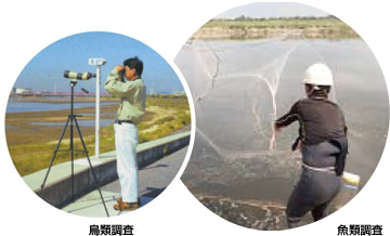 環境調査（河川水辺の国勢調査）
