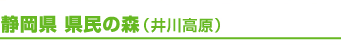 静岡県 県民の森（井川高原）