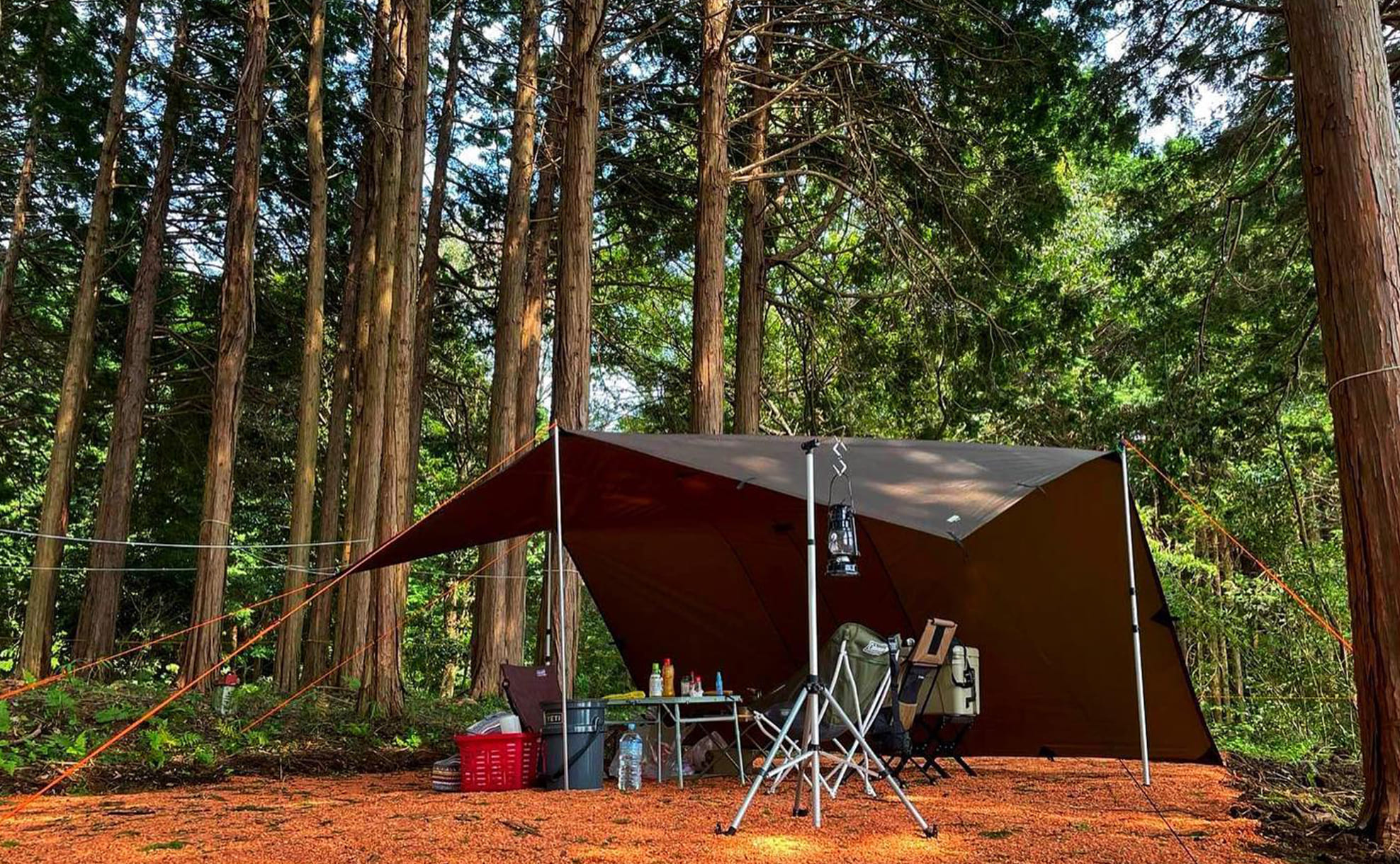 The Nest Camping Village - キャンプ場