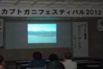 調査研究