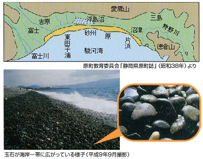 富士海岸の特性