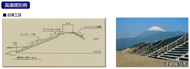 高潮堤防例　沼津工区