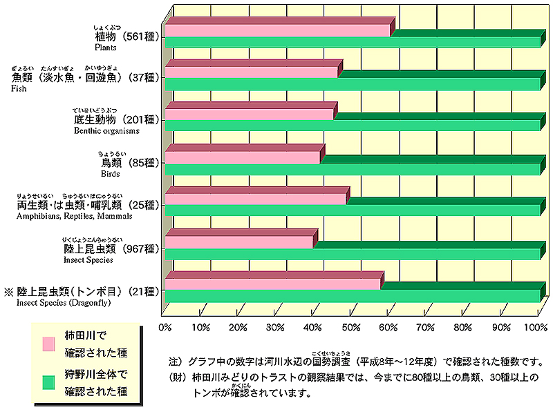 図3-5　柿田川・狩野川の生き物の確認種数