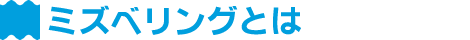 ミズベリングとは