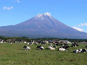富士山と牧場（国道139号からの風景）