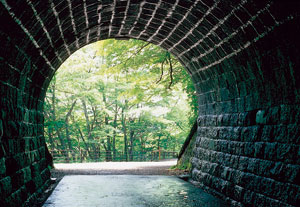 踊り子の道・旧天城トンネル（写真提供：静岡県観光協会）