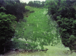 西平山腹工