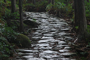 写真：熊野古道（馬越峠の石畳）