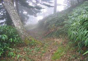 霧にかすむ幻の古道　東山道