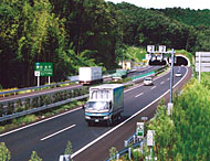 �ʐ^�F�L�c�s��