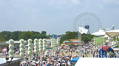 �ʐ^�F����