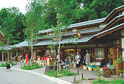 �ʐ^�F���{���a��