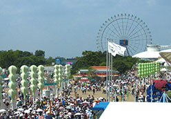 �ʐ^�F�������