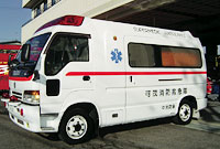 �ʐ^�F�~�}��