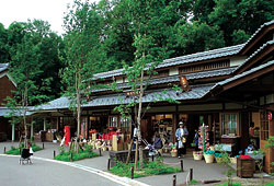 �ʐ^�F���{���a��