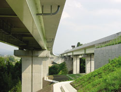 �ʐ^�F���C�󎩓��ԓ�