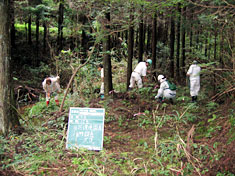 植物調査状況