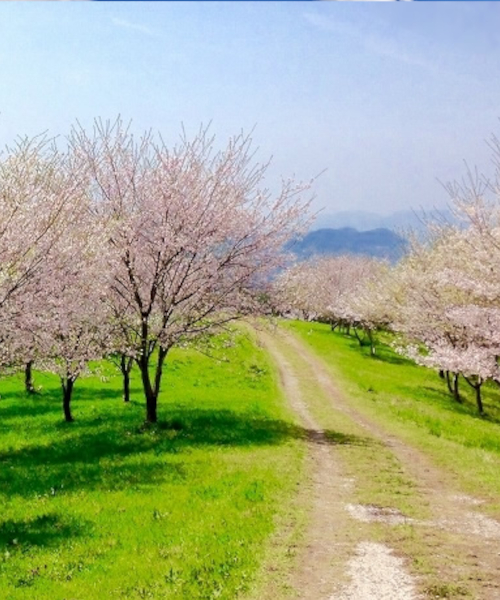 八百津町　キリン水源の森