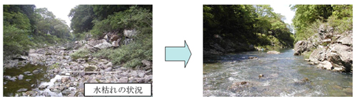 流量増加による河川環境の保全効果（大野頭首工下流地点）