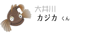 大井川 カジカくん