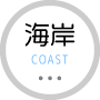 海岸