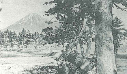 〈大正時代の左富士〉