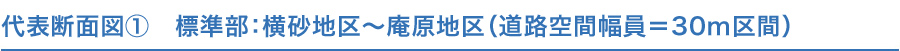 代表断面図①　標準部：横砂～庵原（道路空間幅員＝30m区間）