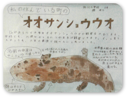 流域治水奨励オオサンショウウオ観察賞