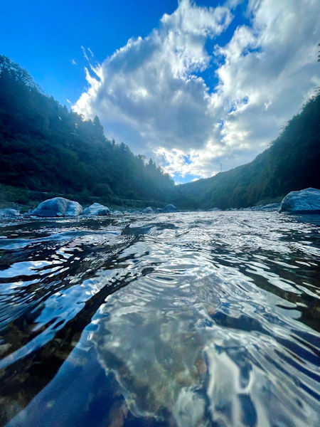 キラキラ光る庄内川