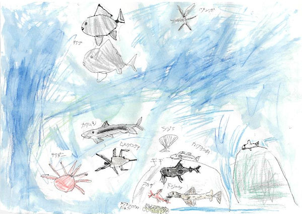 土岐川にいる生き物たち